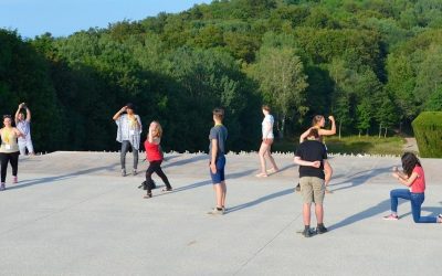 Appel à projet : Diversité et Participation