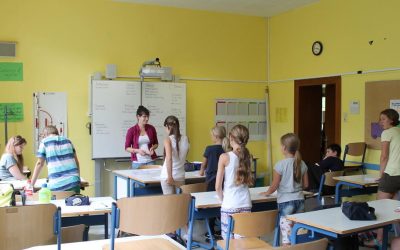 Appels à candidatures 2019/2020: Volontariat Franco-Allemand